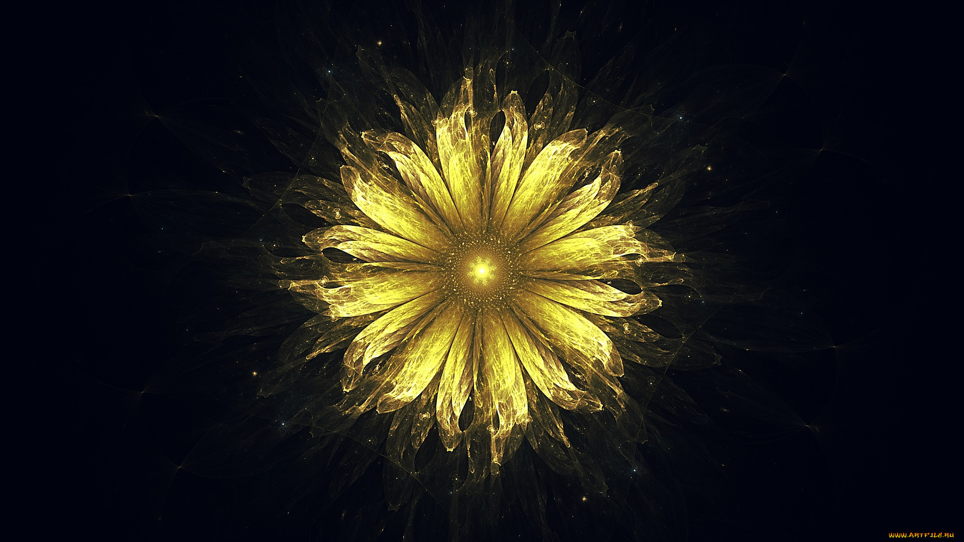 3 ,  , flowers, , , 